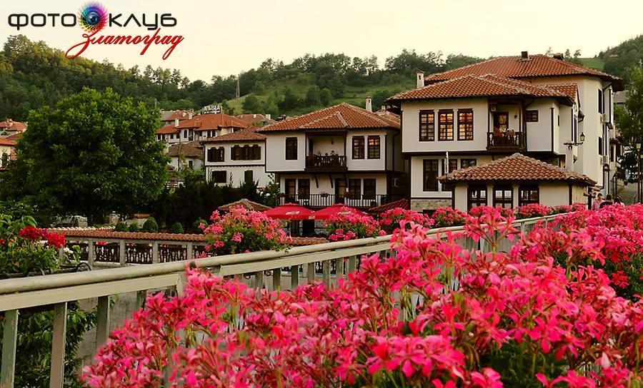 Guest Rooms Profirov Darıdere Dış mekan fotoğraf